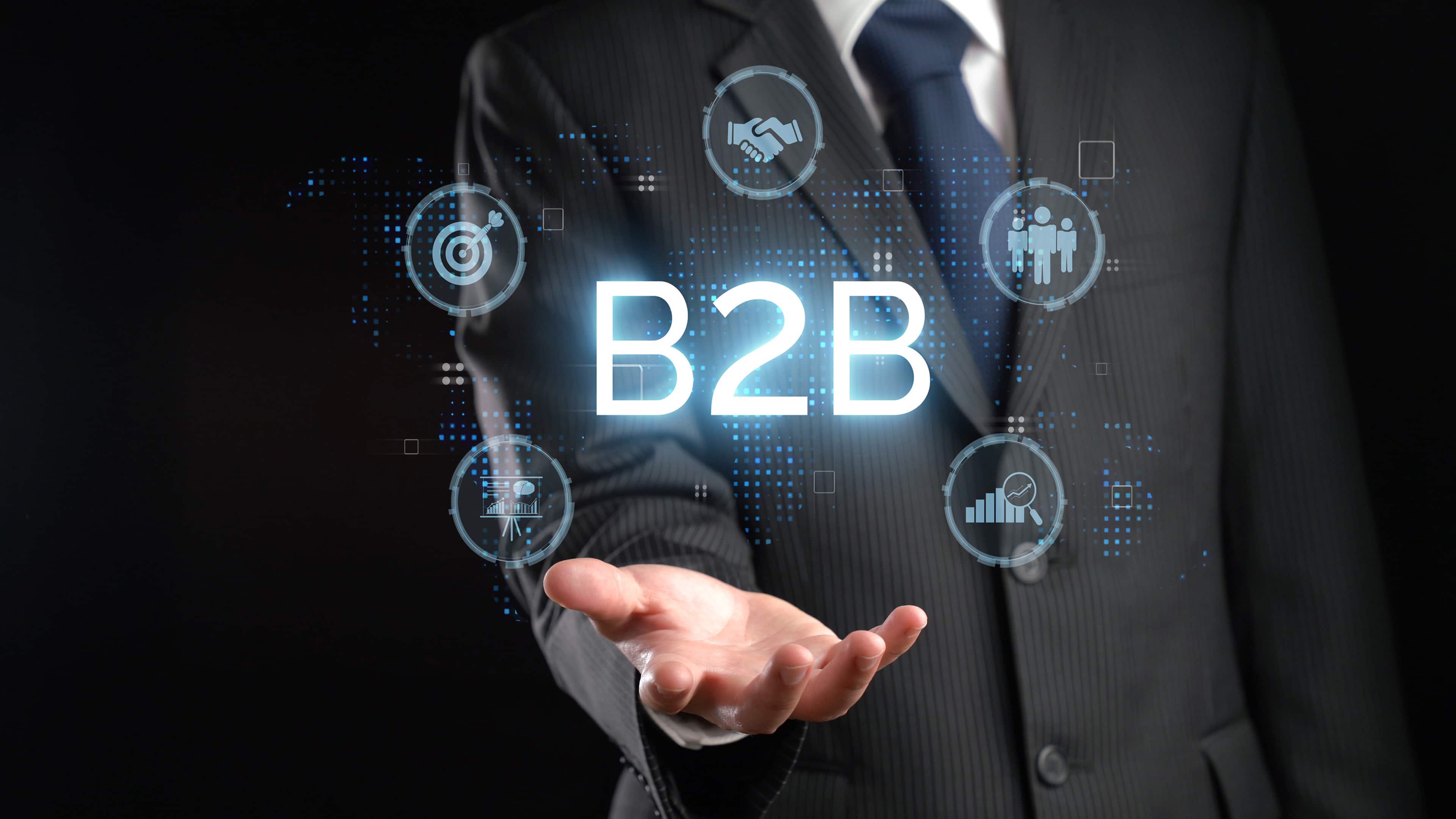 B2B Delegation Services